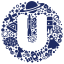 Logo USPACE Technology Group Limited