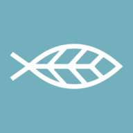 Logo Icelandic Salmon