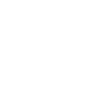 Logo Aegis Brands Inc.