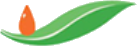 Logo Roxas Holdings, Inc.