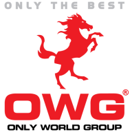 Logo Only World Group Holdings