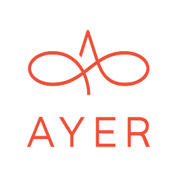 Logo AYER Holdings