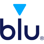 Logo Blue Chip Value Fund, Inc.