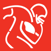 Logo National Football League Players Association, Inc.