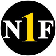 Logo Network 1 Financial Securities, Inc.