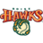 Logo Boise Hawks Baseball Club LLC