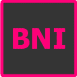 Logo BNI Video
