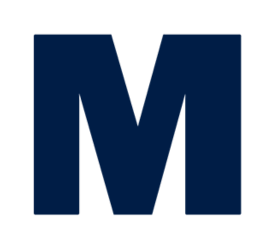 Logo Mesh Systems LLC