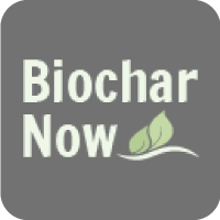 Logo Biochar Now LLC