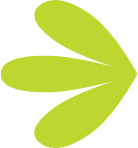 Logo Innodis Ltd.