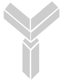 Logo Yellowstone Capital, Inc.