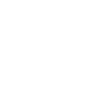 Logo Pivotal Group, Inc.
