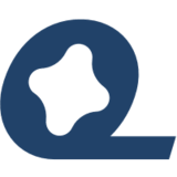 Logo Quadion LLC