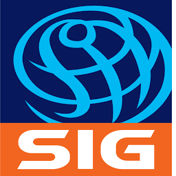 Logo Shanghai International Group Co., Ltd.