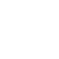 Logo Trans World Marketing Corp.