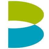 Logo Brierley+Partners, Inc.