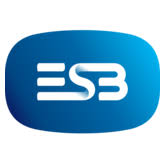 Logo Electricity Supply Board Ltd.
