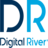 Logo Digital River GmbH