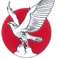 Logo National Cement Co.