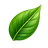 Logo Herborium Group, Inc.
