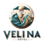Logo Velina AD