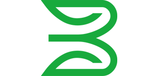 Logo BSP Financial Group Ltd.