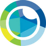 Logo National Society to Prevent Blindness