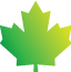 Logo Canada Foundation for Sustainable Development Technology