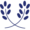 Logo Linné Kapitalförvaltning AB