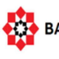 Logo Baer Capital Partners Ltd.