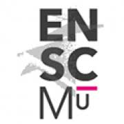 Logo Ecole Nationale Superieure de Chimie de Mulhouse