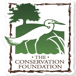Logo The Conservation Foundation