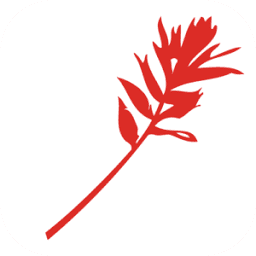 Logo Bank of Jackson Hole Trust