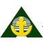 Logo Anchor Insurance Brokerage Corp.