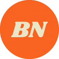 Logo PT Bormindo Nusantara