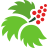 Logo SouthEast Alaska Regional Health Consortium
