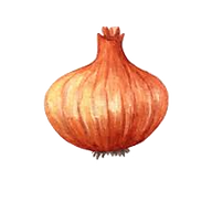 Logo Green Valley Onion Co., Inc.