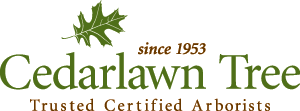 Logo Cedar Lawn Tree Service, Inc.