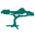 Logo National Alopecia Areata Foundation