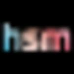 Logo HSM do Brasil SA
