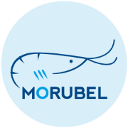 Logo Morubel NV