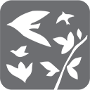 Logo Shinan Tourist Co. Ltd.