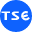 Logo TSE Co., Ltd.