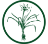 Logo The Charleston Horticultural Society