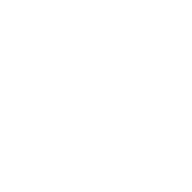 Logo Synergie Environ Ltd.