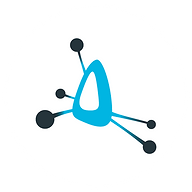 Logo Actual Analytics Ltd.