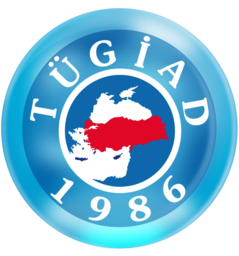 Logo Türkiye Genç Isadamlari Dernegi