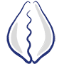Logo Cyprea Pvt Ltd.