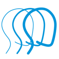 Logo Brain Injury Association of Kansas & Greater Kansas City
