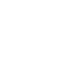 Logo Sinapsi Srl